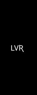 LVƦ・SOLO